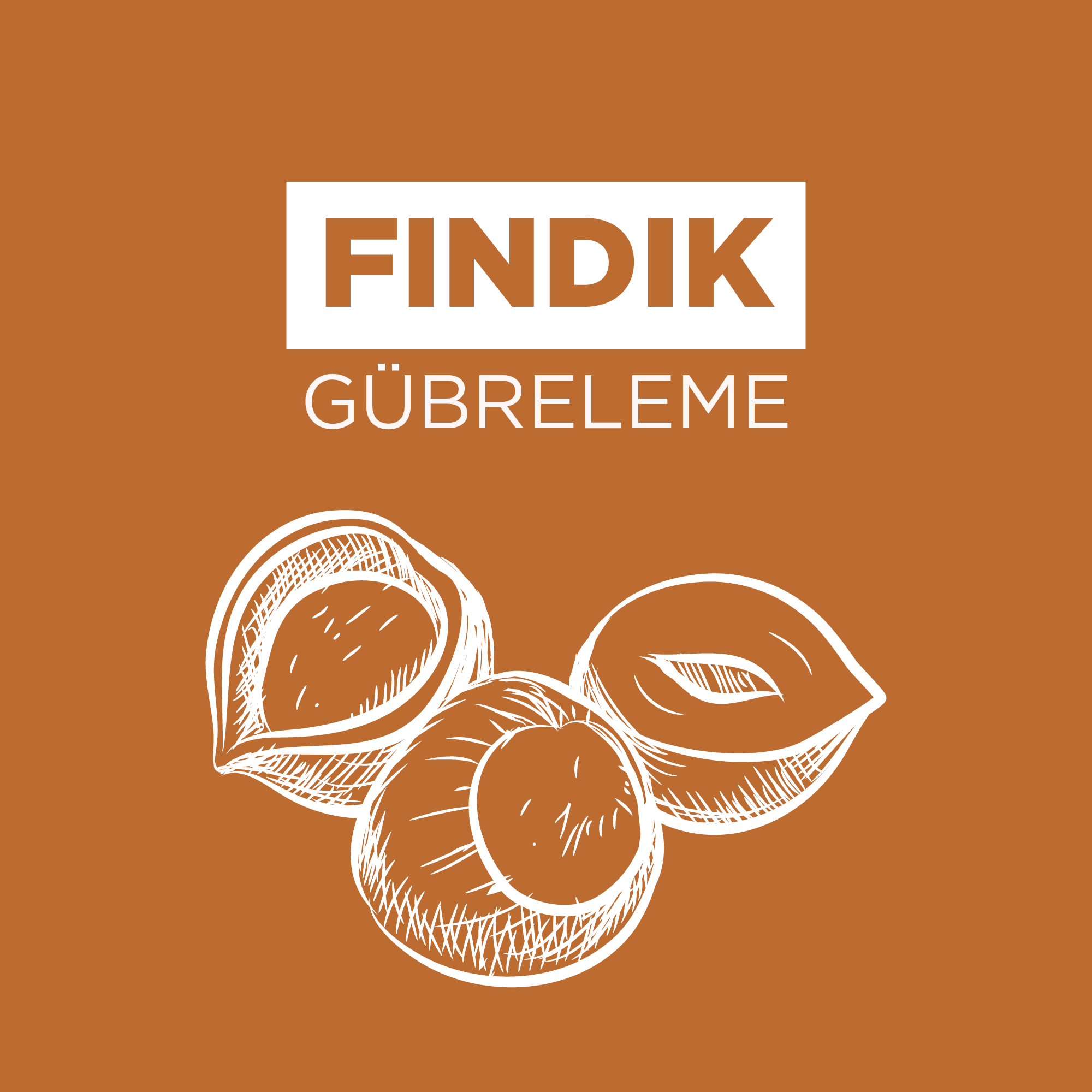 Fındık