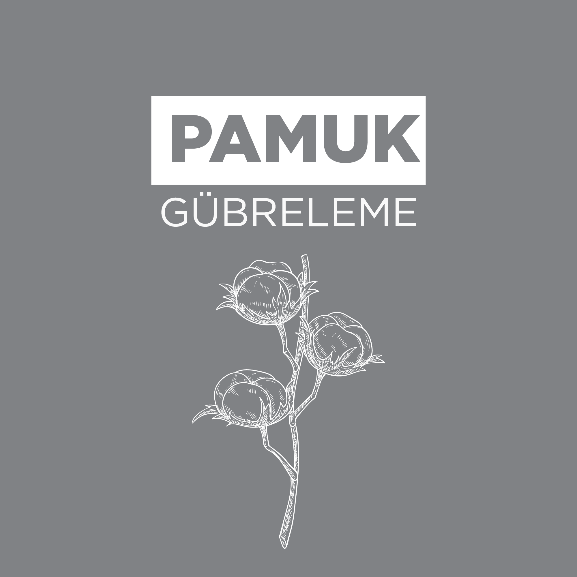 Pamuk