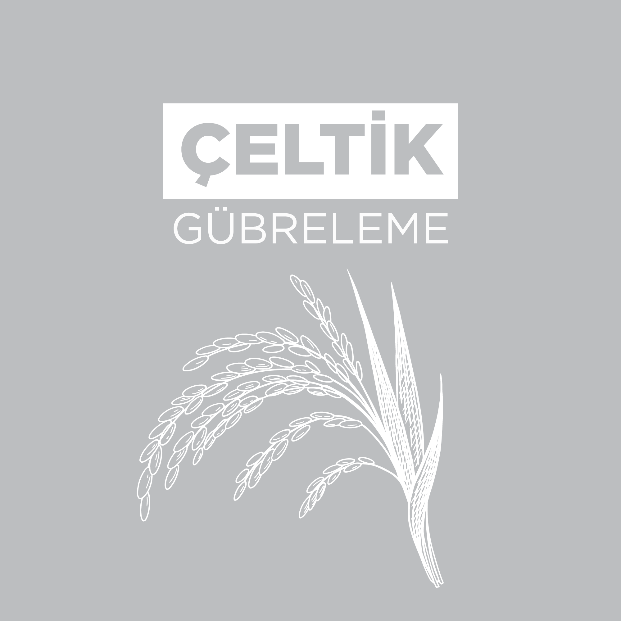 Çeltik